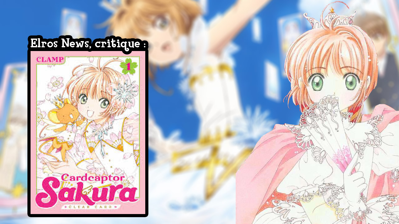 Ccs_critique