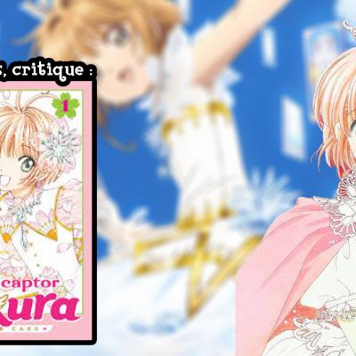 Ccs_critique